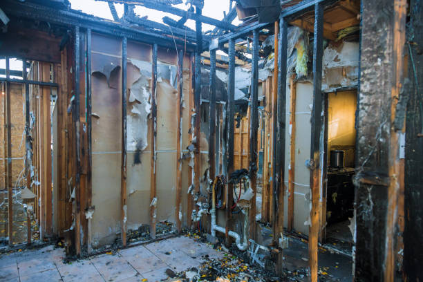 Professional Fire Damage Removal technician working in Stevensville, MT